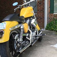 Amelia Harris Photo 27