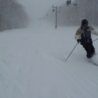 Alan Wilcox Photo 16 Alan Wilcox Photo 16