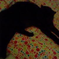 Angela Canning Photo 6