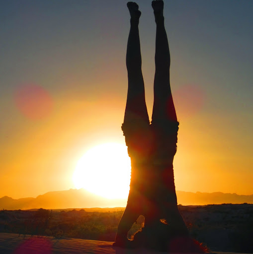 Elizabeth Weintraub Photo 20