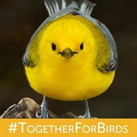 Christine Kline Photo 9