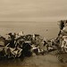 Ronald Stanley Photo 18