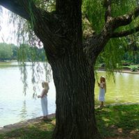 Autumn Short Photo 14