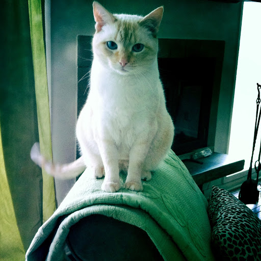 Kathryn Dorsey Photo 2