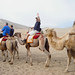 June Halper Photo 8
