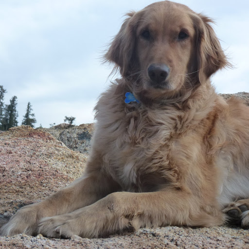 Teresa Garrison Photo 25