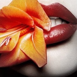 Jeanne Murray Photo 13