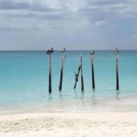 Janice Burke Photo 20