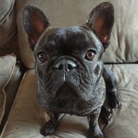 Mike Robbins Photo 26