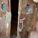Judy Rau Photo 14