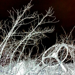 Brian Kenyon Photo 47