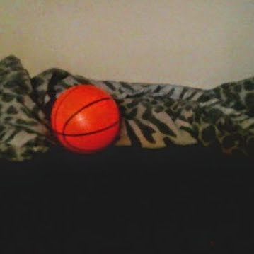 Marcus Paterson Photo 12