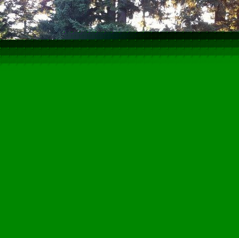 Kathy Nelson Photo 9