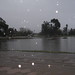 Ramona Rains Photo 8