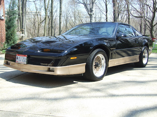 Terry Harper Photo 42