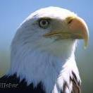 Jesse Graham Photo 17 Jesse Graham Photo 17