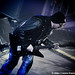 Paul Quinn Photo 20