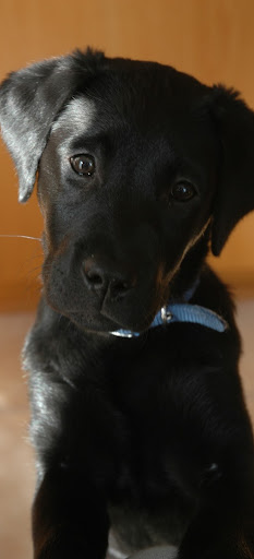 Marlene Muller Photo 5