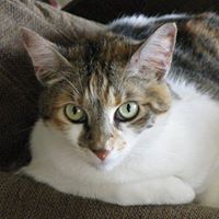 Rosemarie Bailey Photo 6
