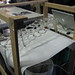Christopher Mcelroy Photo 18