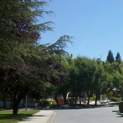 Michelle Carrillo Photo 32