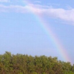 Sandra Brewer Photo 12