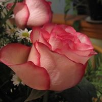Christine Longo Photo 29