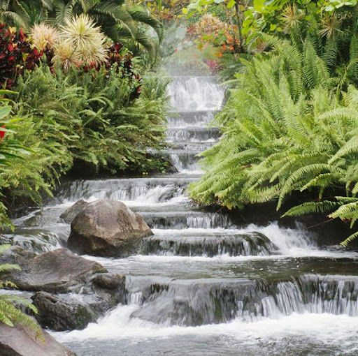 Shane Mckenzie Photo 34