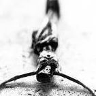 Chris Grogan Photo 20