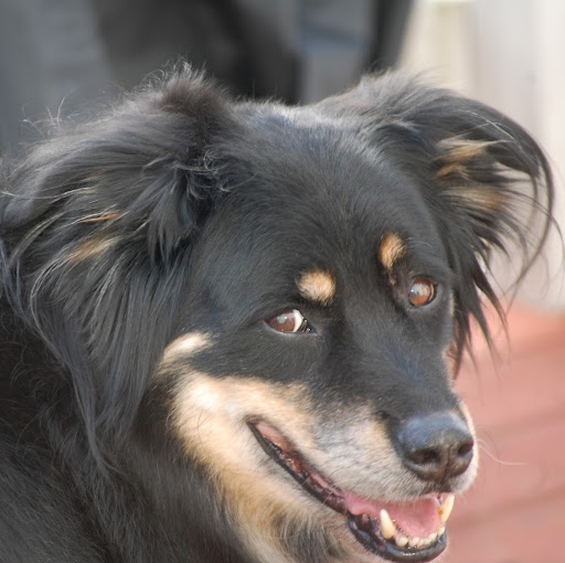 Elaine Stern Photo 26