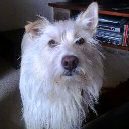 Nancy Heron Photo 4