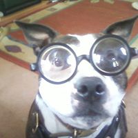 Alan Baxter Photo 25