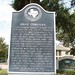 Nancy Robinson Photo 22