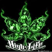 James Shore Photo 13