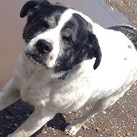 Walter Wiley Photo 12