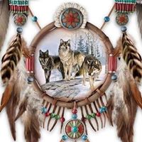 Rhonda Erickson Photo 7
