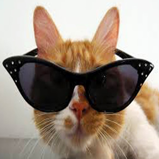 Natalie Kent Photo 16