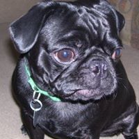 Tracey Thurman Photo 11 Tracey Thurman Photo 11