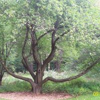 Rhonda Schultz Photo 6