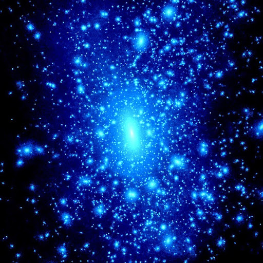 Billy Morgan Photo 46 Billy Morgan Photo 46