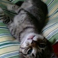 Julia Buchanan Photo 18