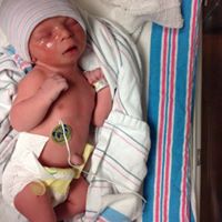 Kathy Reinhart Photo 16