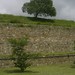 Anita Montes Photo 20