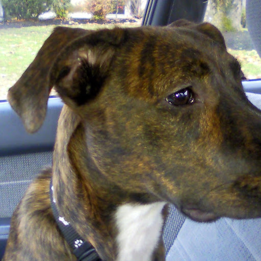 Sam Mclaughlin Photo 36