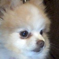 Jack Harris Photo 45