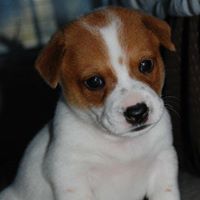 Timothy Lowery Photo 17