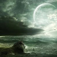 Donna Stone Photo 10