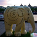 Lucy Fleming Photo 20