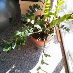 Jeff Stevens Photo 35