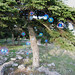 Edgar Land Photo 9
